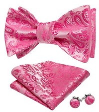 Bow Ties for Men Paisley Self Tie Bowtie Pocket Square Cufflinks Set Classic ...
