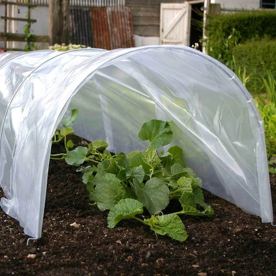 HAMBLE 3x POLY TUNNEL CLOCHE MINI GREENHOUSE GARDEN GROW PROTECT PLANT 1.5M X 45 X 42cm