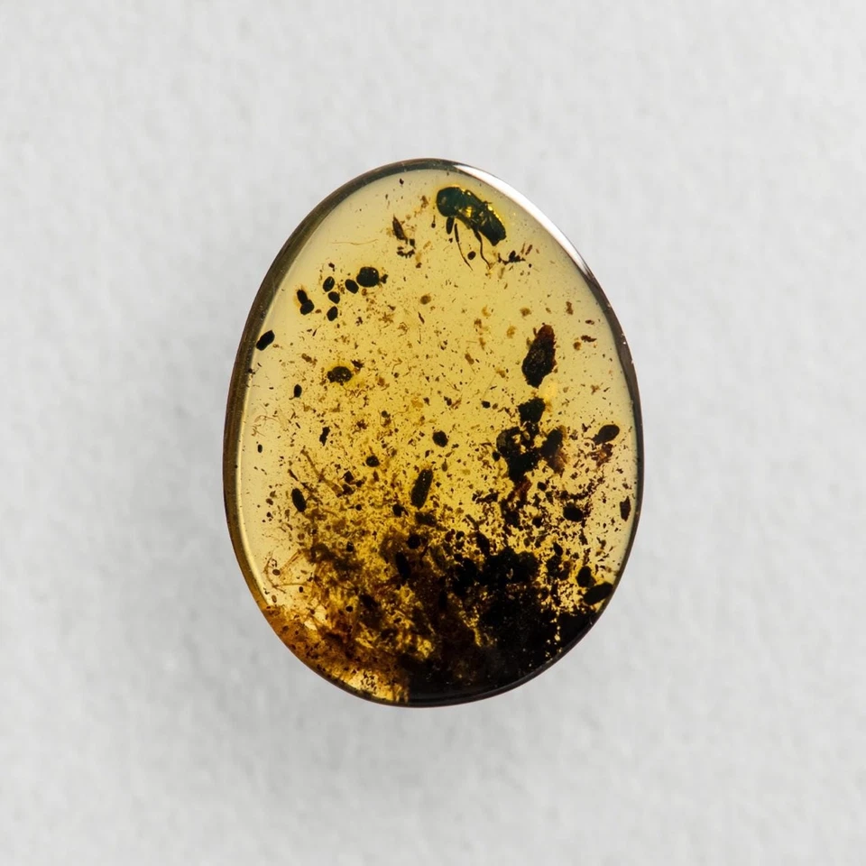 LIZARD SPINE in Burmese / Burmite amber fossil / 100% genuine amber - Image 3 of 4