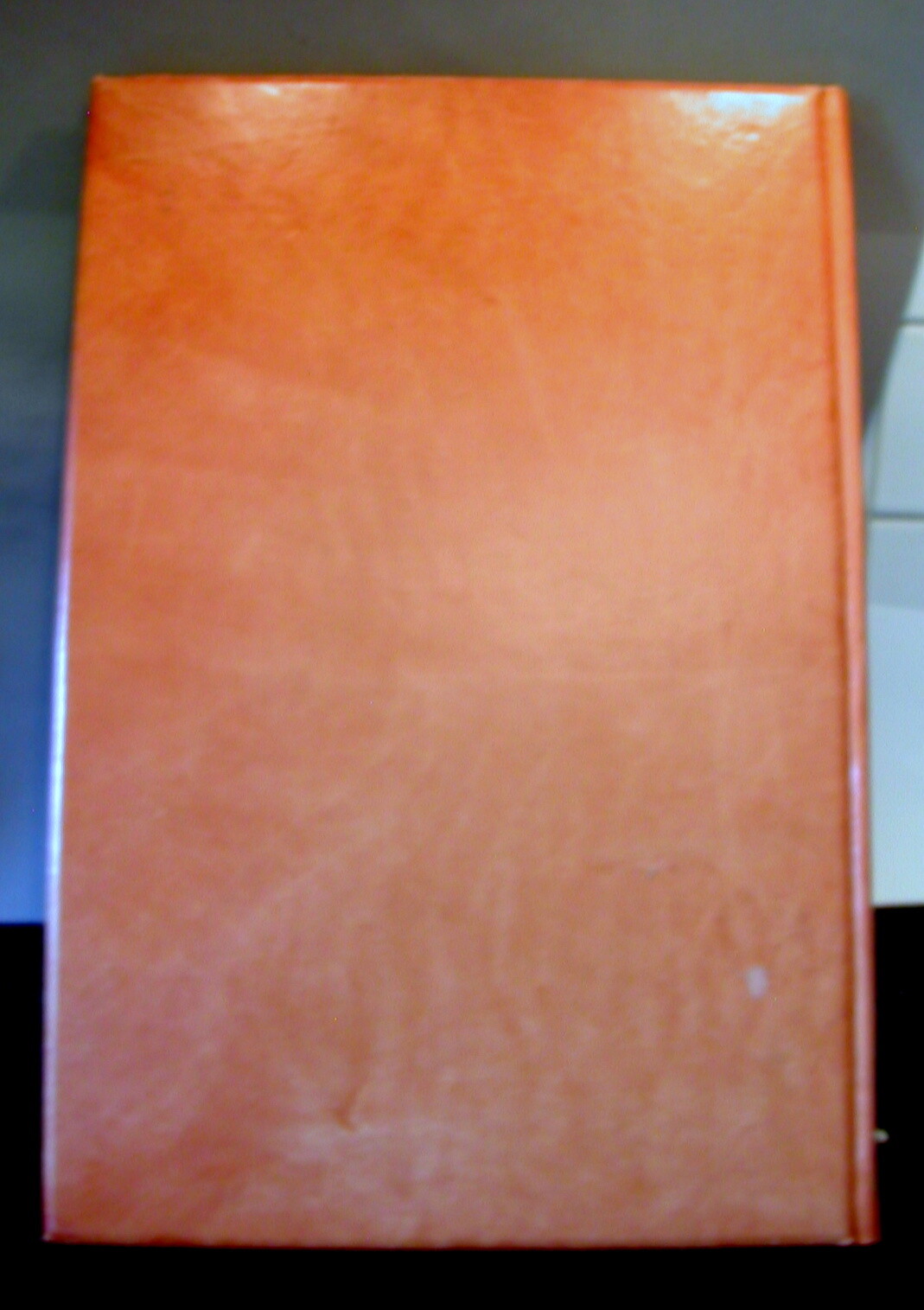 Bild 11 von 12