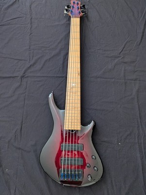 Roscoe SKB 6-string bass