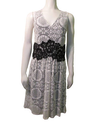 new york and company white lace dress Lace Ruffle Tulle Midi Dress - MEDIUM / White