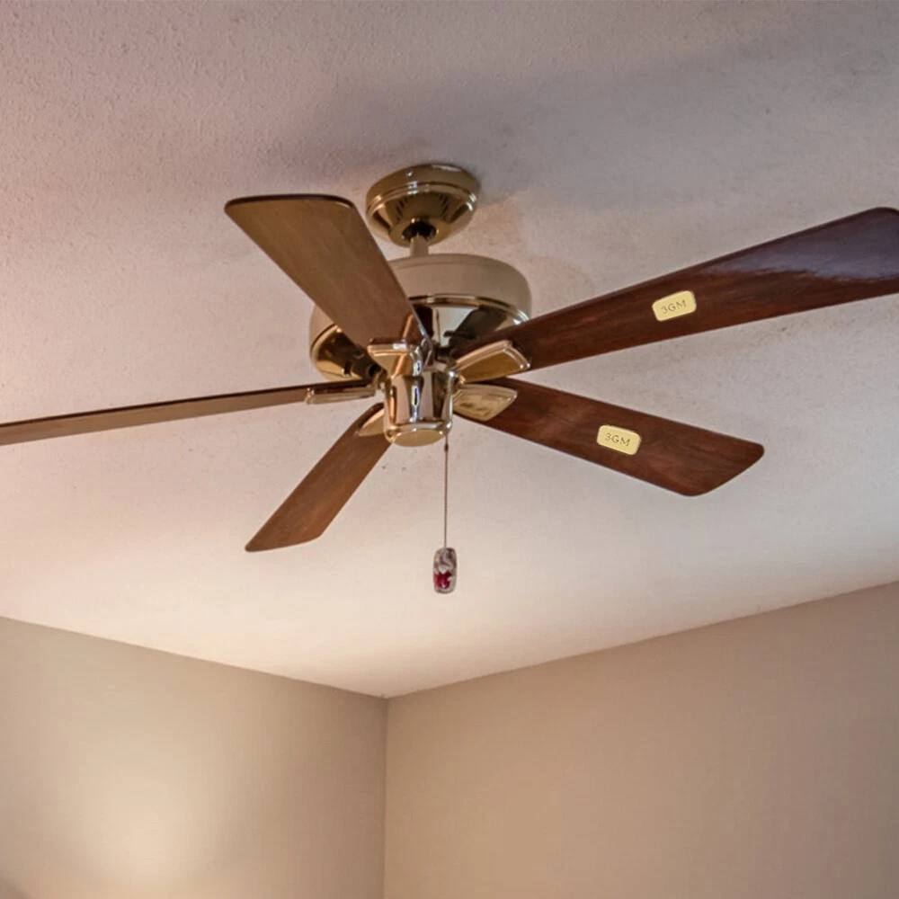 Self Balancing Ceiling Fans Shelly Lighting