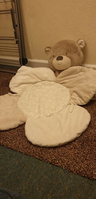 teddy bear sit me up