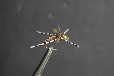 COPPER JOHN RUBBER SCUD FLASHBACK NYMPH Fly Fishing Flies, 1 Fly You Choose Size