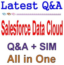 Salesforce Data Cloud Accredited Professional Exam Q A