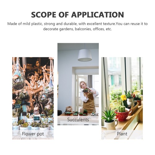 1 szt. Sztuczna roślina Calathea Bonsai Kreatywna roślina Bonsai Roślina doniczkowa - Zdjęcie 1 z 16