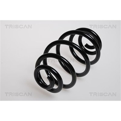 Triscan Feder hinten für Skoda Superb VW Passat