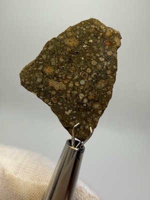NWA 17755 Carbonaceous Chondrite Meteorite CV3 - 8.1 g w/ Fusion Crust and CAIs