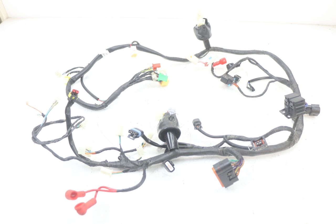 WIRE HARNESS - MASH LEGEND'R 4T 50 (2021 - 2025)