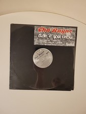 Tha Rayne Didn't You Know Vinyl Single 12