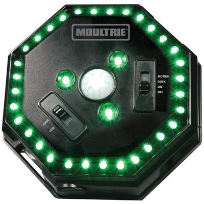 35 LED Feeder Hog Light with 4-Way Switch & Motion Activation for Night Hunting