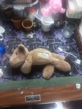 Walt Disney World Disney's Animal Kingdom 17" Rhino Plush Stuffed Animal Toy tag