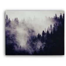 Misty Forest II Framed Canvas Stretched Ready to Hang 50x40 Home decor Gift.