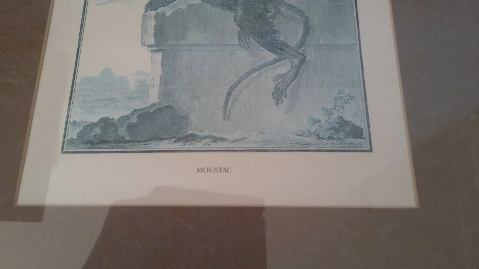 Picture 5 of 9