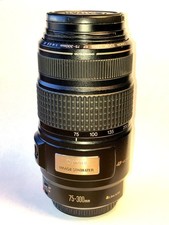 Canon EF 75-300mm f/4-5.6 IS USM Lens