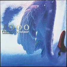 Fleshwater ‎- 2000: In Search Of Endless Sky LP - Colored Vinyl Album NEW RECORD