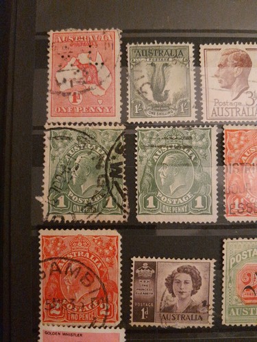 piccola collezione Australia - Foto 3 di 6