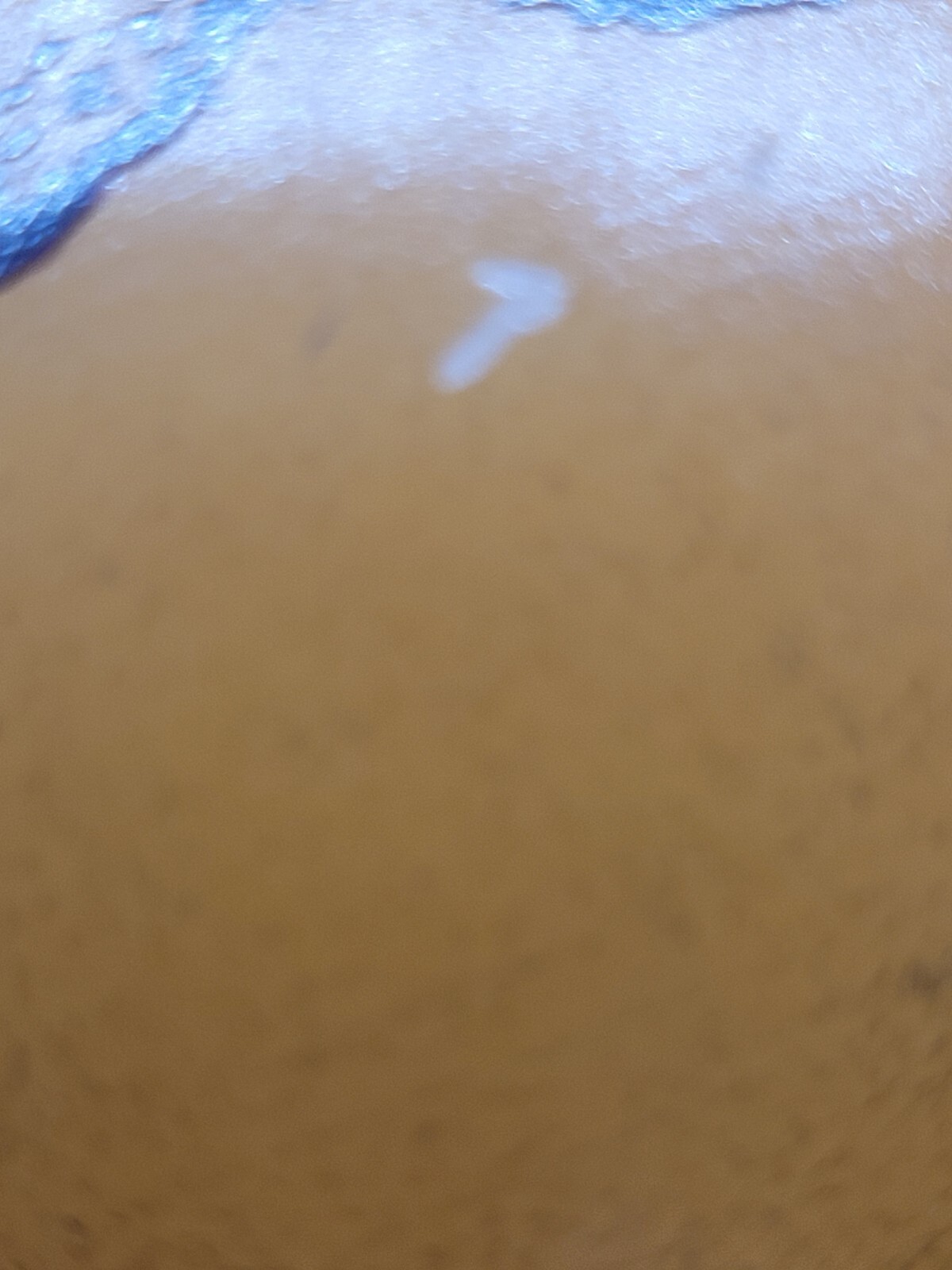 Picture 10 of 11