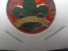 P-5502  Scout sybo with Obedient across the ftron