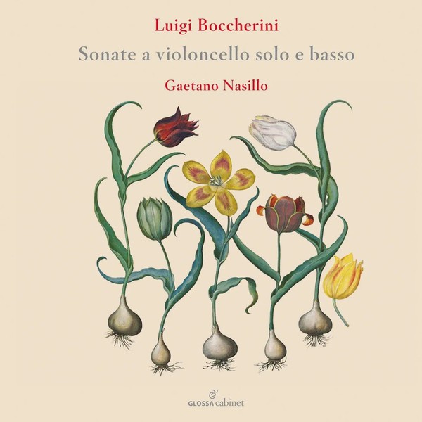 Flute Concertos | Marco Vitali Gaetano Nasillo | Audio-Cd | 2 Cds | 2023-image