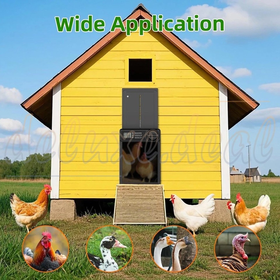 Chicken Coop Door Battery Powered Auto Door Opener with Timer Sensor ...