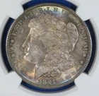 1891 P  NGC MS 64 Colorful  Morgan Dollar