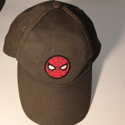 Marvel Spiderman Youth Baseball Cap Snapback Hat Boys Gray Berkshire Adjustable
