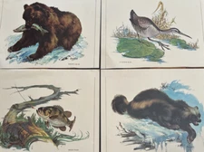 Fred Sweney Wildlife Prints Lot of 4 Ready to Frame Vintage 1960s