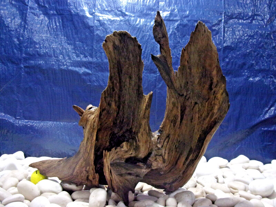 Large Driftwood Aquarium Loose Wood, Very Low Tannins, Freshwater
