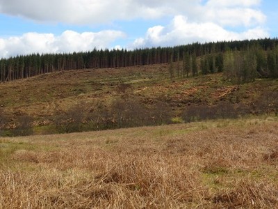 Foto A3 Fälleinsätze bei Glac an da Lunnain Cnoc an da Lunnain um 2017