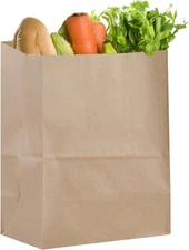 9.8x5.5x12.9 inch Kraft Brown Paper Bags Medium Large, 