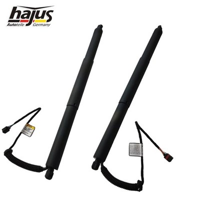 2x Hajus Elektromotor Gasfeder Heckklappe Gasdruckfeder für VW Passat 3G5 OEM