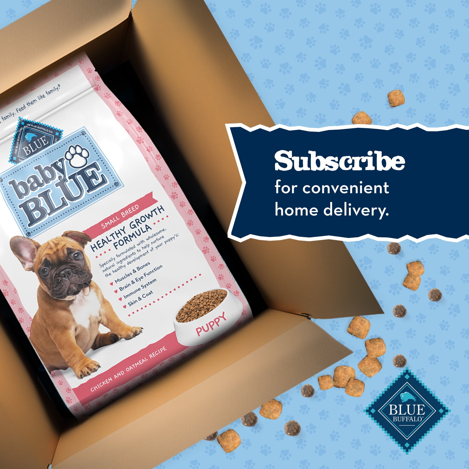 Blue Buffalo Baby BLUE Natural Small Breed Puppy Dry Dog Food,4-lbs.