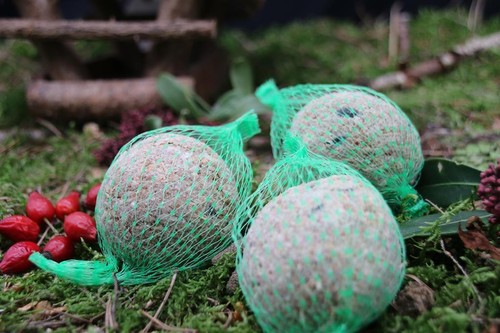 Anhaltiner Meisenknödel 100St. mit Netz mit Insekten Rindertalg Wildvögel Fett - Bild 6 von 7