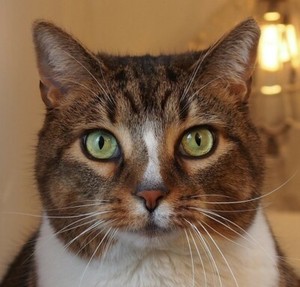 Osirus37 | eBay Stores