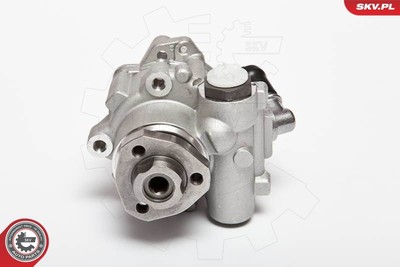 ESEN SKV Hydraulikpumpe Lenkung 10SKV018 für VW BEETLE GOLF BORA NEW FORD SEAT 4