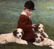 Raphael Tuck 846 A Hunting We Will Go Boy with Puppies Tinted Postcard.