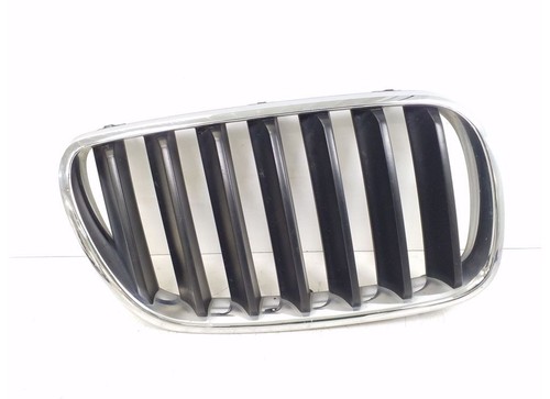 BMW X3 E83 2010 Kühlergrill 3420088 EZE29497