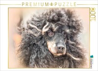 Calvendo Puzzle Poodles Gone With The Wind | 1000 Pieces, Finished Size 25.2 × 1