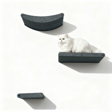 Cat Wall Shelves and Climbing System for Large Cats Play Rest Scratcher