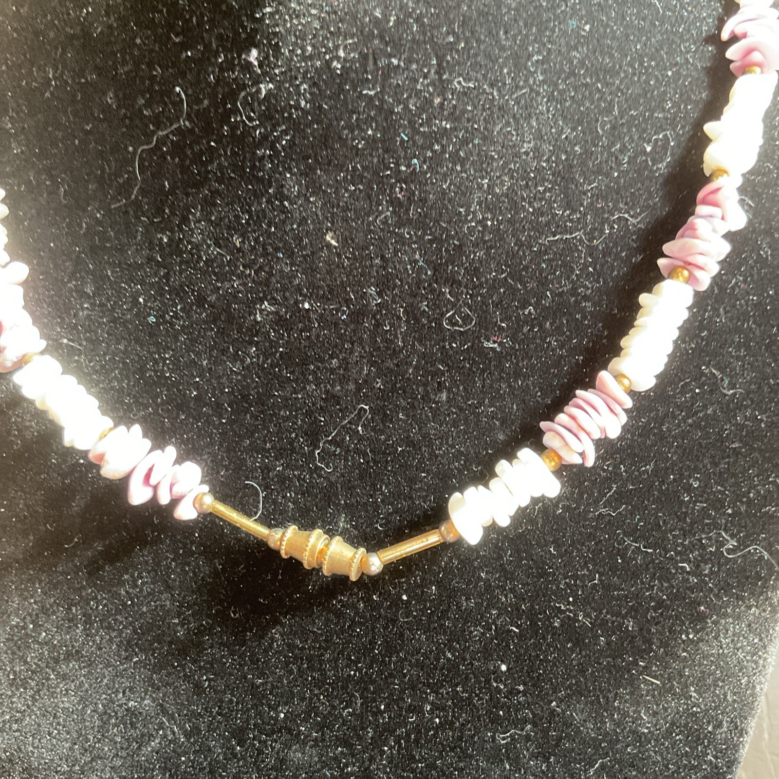 Bild 5 von 5