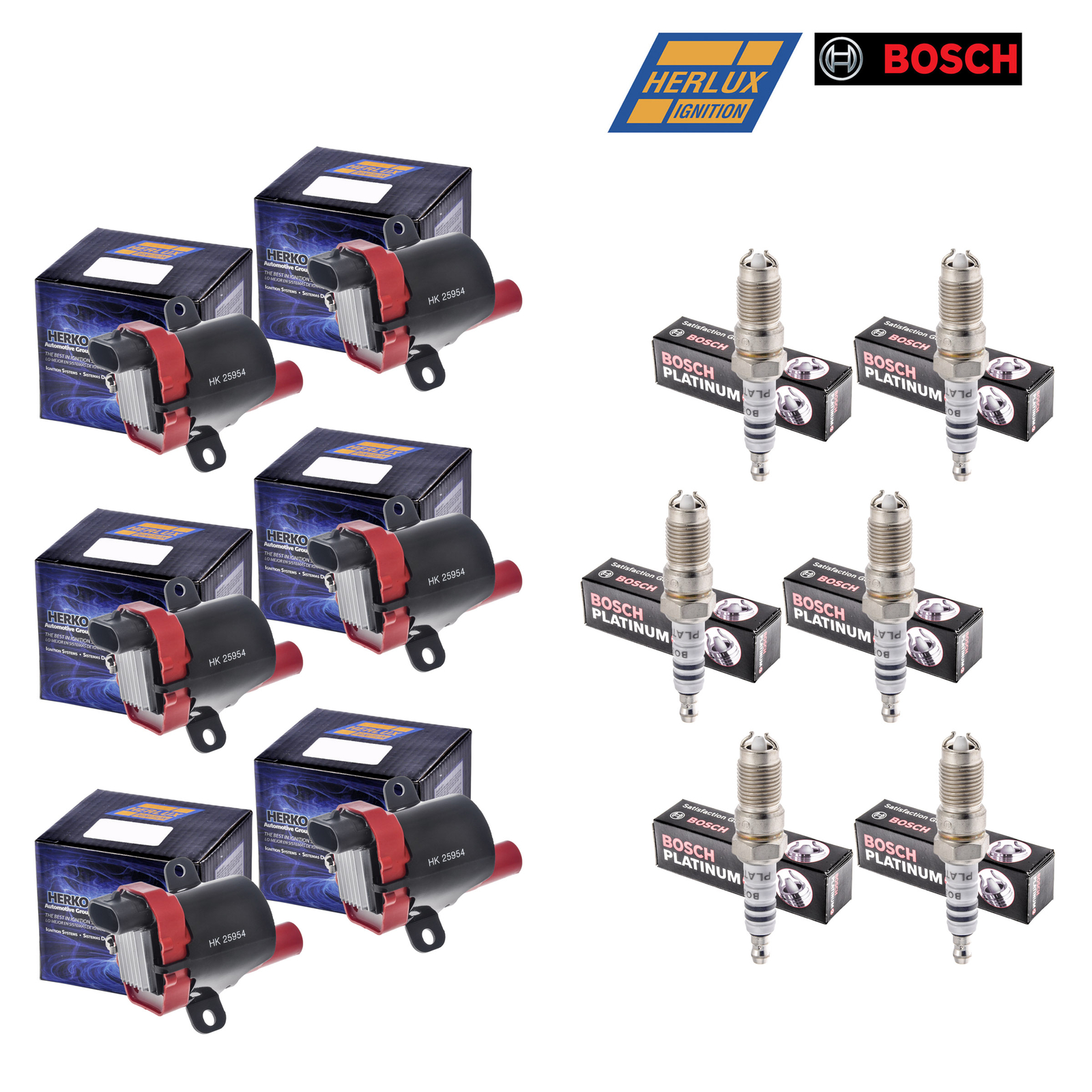 Set Of 6 B045HE Herko Coils  6 Bosch 4309 Spark Plugs