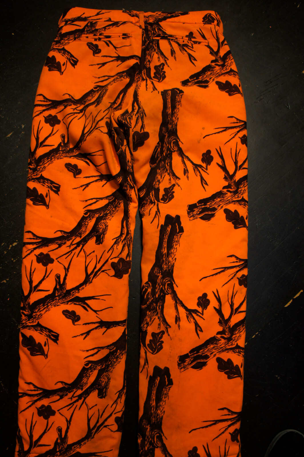 Picture 5 of 20