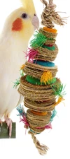 41342 Medium Venus Bonka Bird Toys Cage Toy Cages Foraging Chew Shredder Parrot
