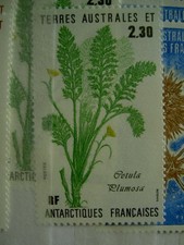TAAF Yvert Num 118 Flore ANNEE 1986