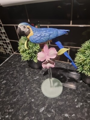 Franklin Mint Tropical Birds Blue Macaw Papagei Etienne Demonte, Vintage 1987.