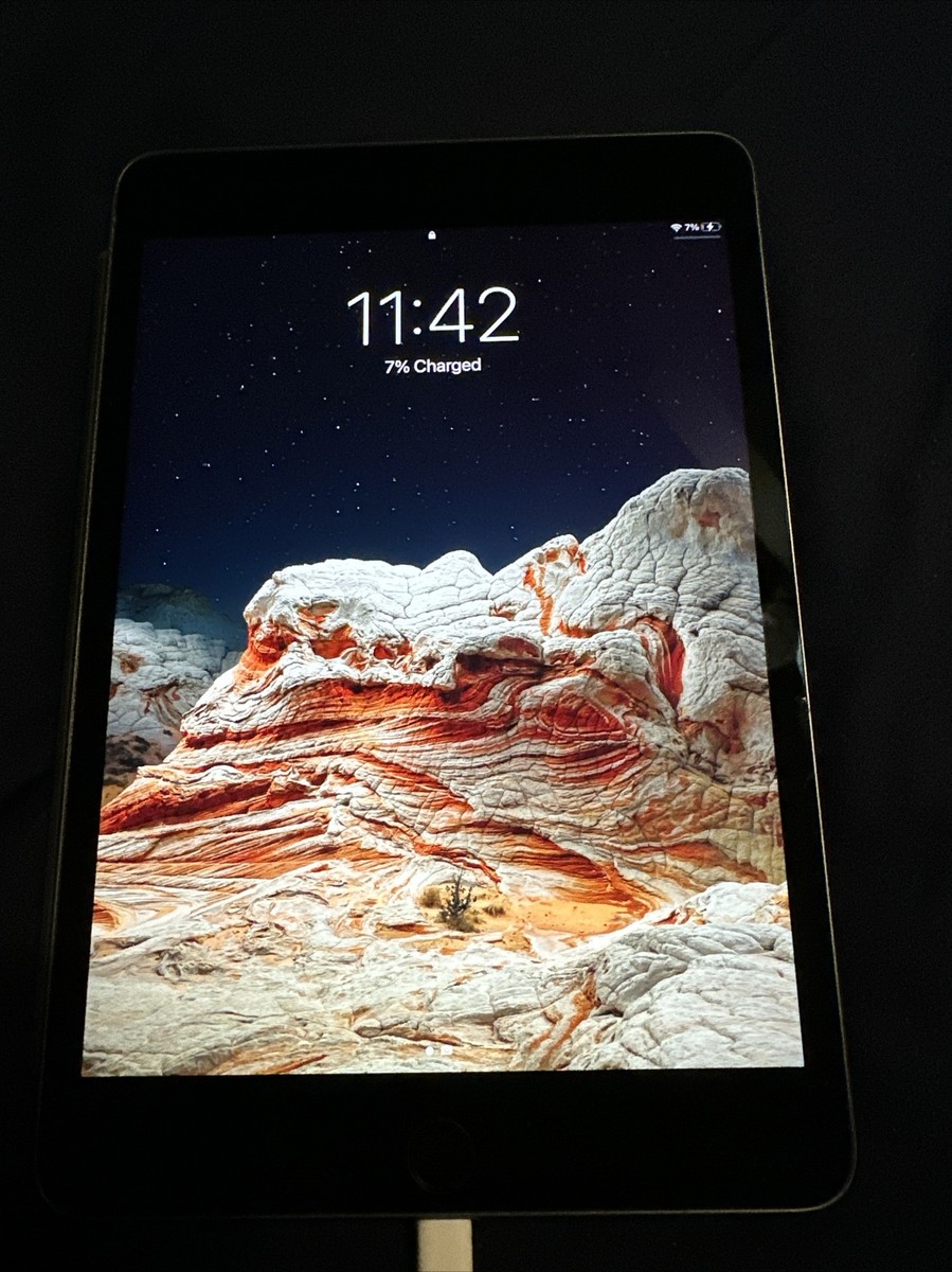 Apple iPad mini (5th Generation) 64GB, Wi-Fi | eBay