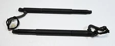 Rear Trunk Tailgate Hatch Lid Lift Strut Support Shock Pair OEM BMW E71 X6 08-14