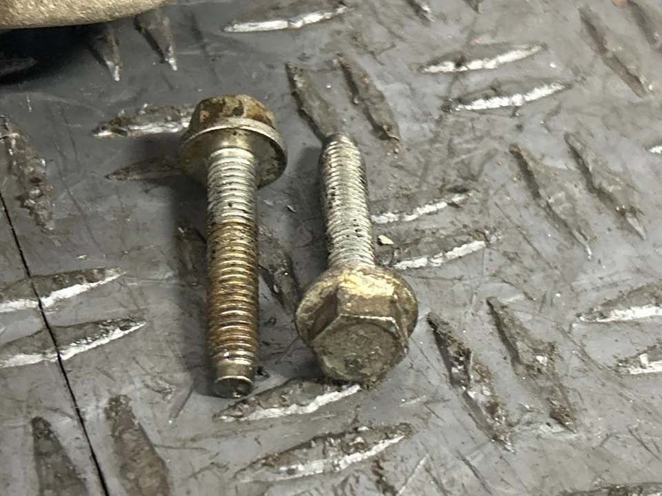 Ford Mustang SVT Cobra 2003-04 enfriador de aceite OEM - 4,6 4V 283 Foto 3 de 4